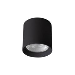 Italux lubinis šviestuvas Cervia kaina ir informacija | Lubiniai šviestuvai | pigu.lt