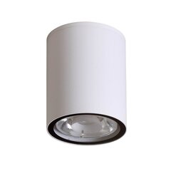 Italux lubinis šviestuvas Fano kaina ir informacija | Lubiniai šviestuvai | pigu.lt