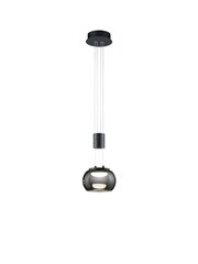 Trio подвесной светильник Madison цена и информация | Подвесной светильник | pigu.lt