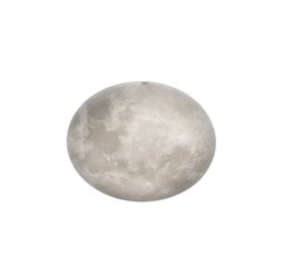 Trio lubinis šviestuvas Lunar kaina ir informacija | Lubiniai šviestuvai | pigu.lt