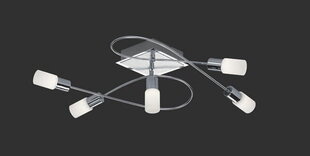 Trio потолочный светильник Clapton цена и информация | Потолочные светильники | pigu.lt