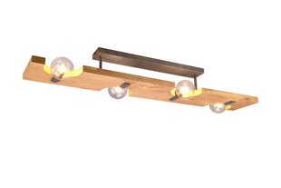 Потолочный светильник Trio Tailor цена и информация | Потолочные светильники | pigu.lt