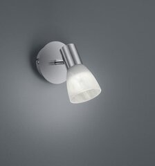 Trio настенный светильник Levisto цена и информация | Настенные светильники | pigu.lt