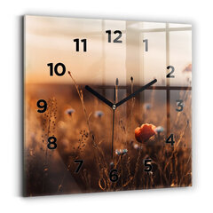Sieninis laikrodis Saulėtekio Laukas kaina ir informacija | Laikrodžiai | pigu.lt