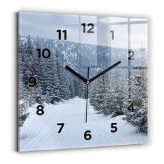 Sieninis laikrodis Čekijos Milžiniški Kalnai Žiemą kaina ir informacija | Laikrodžiai | pigu.lt