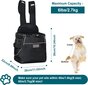 Nešioklė šunims Cinf, juoda kaina ir informacija | Transportavimo narvai, krepšiai | pigu.lt