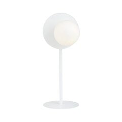 Emibig светильник на стол Oslo цена и информация | Настольные светильники | pigu.lt