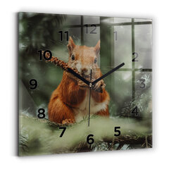 Sieninis laikrodis Voverė Ir Laukinė Gamta kaina ir informacija | Laikrodžiai | pigu.lt