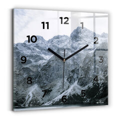Sieninis laikrodis Morskie Oko Tatruose цена и информация | Часы | pigu.lt