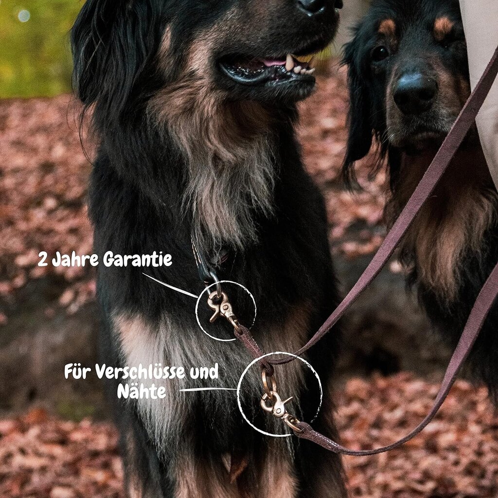 Odinis pavadėlis šuniui M-N-K, 220 cm kaina ir informacija | Pavadėliai šunims | pigu.lt