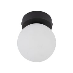 TK Lighting потолочный светильник Sufitowa цена и информация | Потолочные светильники | pigu.lt