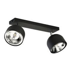 TK Lighting потолочный светильник Altea цена и информация | Потолочные светильники | pigu.lt