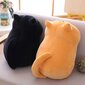 Pliušinė pagalvėlė katė, oranžinė kaina ir informacija | Pagalvės | pigu.lt