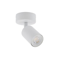 TK Lighting sieninis šviestuvas Top kaina ir informacija | Sieniniai šviestuvai | pigu.lt