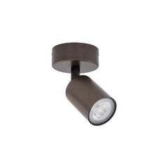 TK Lighting настенный светильник Top цена и информация | Настенные светильники | pigu.lt