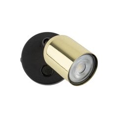 TK Lighting lubinis šviestuvas Top kaina ir informacija | Lubiniai šviestuvai | pigu.lt