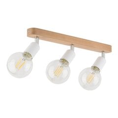 TK Lighting потолочный светильник Simply цена и информация | Потолочные светильники | pigu.lt