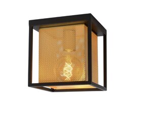 Lucide потолочный светильник Sansa цена и информация | Потолочные светильники | pigu.lt
