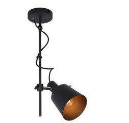Lucide потолочный светильник Ouinny цена и информация | Потолочные светильники | pigu.lt