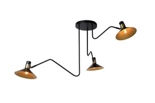 Lucide потолочный светильник Pepijn цена и информация | Потолочные светильники | pigu.lt