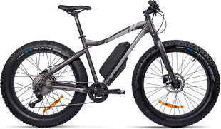 Товар с повреждением. Электровелосипед GZR Rough-e Fatbike 19", серый цвет цена и информация | Товары с повреждениями | pigu.lt