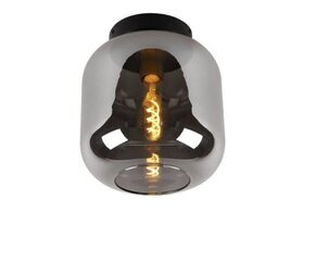 Lucide потолочный светильник Joanet цена и информация | Потолочные светильники | pigu.lt