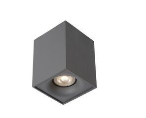 Lucide потолочный светильник Bentoo цена и информация | Потолочные светильники | pigu.lt