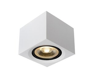 Lucide lubinis šviestuvas Fedler kaina ir informacija | Lubiniai šviestuvai | pigu.lt