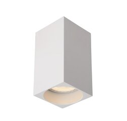 Lucide потолочный светильник Delto цена и информация | Потолочные светильники | pigu.lt