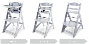 Daugiafunkcinė maitinimo kėdutė Moby System, grey kaina ir informacija | Maitinimo kėdutės | pigu.lt