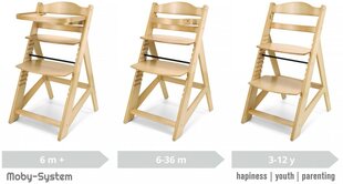 Daugiafunkcinė maitinimo kėdutė Moby System, brown kaina ir informacija | Maitinimo kėdutės | pigu.lt