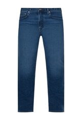 Мужские джинсы Tommy Hilfiger, синие цена и информация | Мужские джинсы | pigu.lt