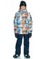 Slidinėjimo kelnės berniukams Quiksilver EQBTP03034, mėlynos kaina ir informacija | Žiemos drabužiai vaikams | pigu.lt