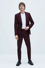 Kelnės vyrams Zara 1564 401 606, raudonos цена и информация | Мужские брюки | pigu.lt