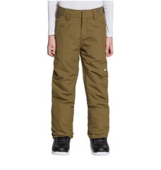 Slidinėjimo kelnės berniukams Quiksilver EQBTP03033 CQW0, rudos цена и информация | Зимняя одежда для детей | pigu.lt
