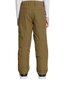 Slidinėjimo kelnės berniukams Quiksilver EQBTP03033 CQW0, rudos kaina ir informacija | Žiemos drabužiai vaikams | pigu.lt
