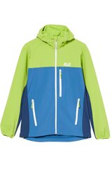 Striukė vyrams Jack Wolfskin 1306691-1130007, įvairių spalvų цена и информация | Мужские куртки | pigu.lt