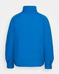 Striukė vyrams The North Face NF00CF51T4S, mėlyna цена и информация | Мужские куртки | pigu.lt