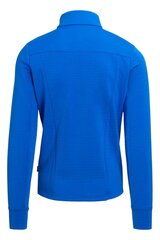 Striukė vyrams Helly Hansen 51885639, mėlyna цена и информация | Мужские куртки | pigu.lt