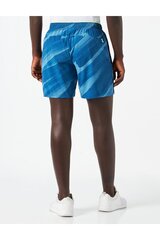 Šortai vyrams Nike DD1717-476, mėlyni цена и информация | Мужская спортивная одежда | pigu.lt
