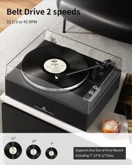 Виниловый проигрыватель Angles Horn, Bluetooth HiFi, динамики, встроенный фонокорректор, 33/45 об/мин, звукосниматель AT-3600L, черный цена и информация | Проигрыватели для пластинок, патефоны | pigu.lt