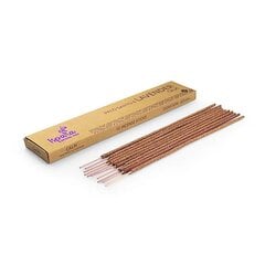 Smilkalų lazdelės Ispalla Palo Santo Lavender Calm, 10 vnt. kaina ir informacija | Namų kvapai | pigu.lt