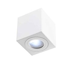 Orlicki Design lubinis šviestuvas Bianco kaina ir informacija | Lubiniai šviestuvai | pigu.lt