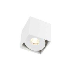 Orlicki Design потолочный светильник Cardi цена и информация | Потолочные светильники | pigu.lt