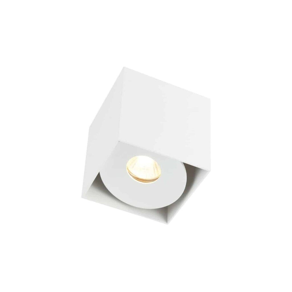 Orlicki Design lubinis šviestuvas Cardi цена и информация | Lubiniai šviestuvai | pigu.lt