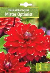 Dekoratyviniai jurginai Mister Optimist kaina ir informacija | Gėlių svogūnėliai | pigu.lt