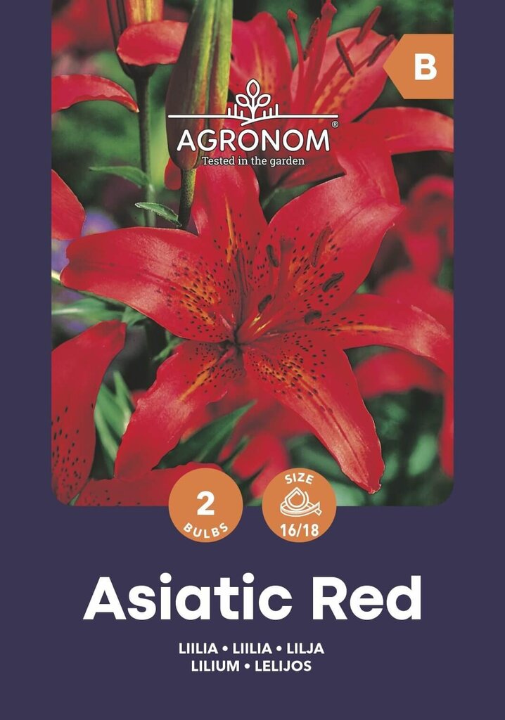 Azijinės lelijos Red kaina ir informacija | Gėlių svogūnėliai | pigu.lt