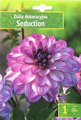 Dekoratyviniai jurginai Seduction цена и информация | Луковицы цветов | pigu.lt