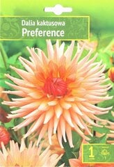 Kaktusiniai jurginai Preference kaina ir informacija | Gėlių svogūnėliai | pigu.lt