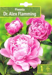 Puikieji bijūnai Dr. Alex Flamming цена и информация | Луковицы цветов | pigu.lt